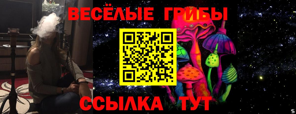 Псилоцибиновые грибы Psilocybe Кубинка