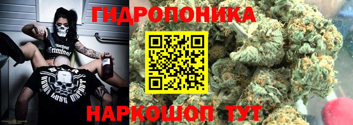 Конопля Кубинка